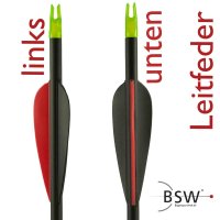 Posizione della camma