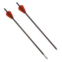 Dardo Balestra aggiuntivo