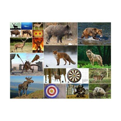 Visuali in carta