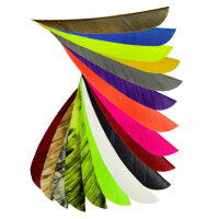 BESTSELLER!!! Pennino naturale SPHERE Speed Feather -...