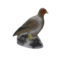 Fagiano gallina LEITOLD