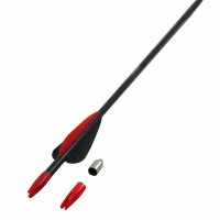 !!TIPP!! TropoSPHERE Fiberglaspfeil mit...