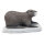 SRT Nutria Castoro Ratto