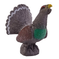 IBB 3D Gallo cedrone