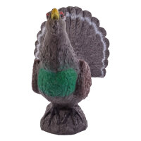 IBB 3D Gallo cedrone