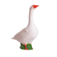 Oca 3D IBB