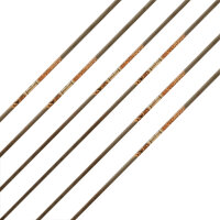 Asta | GOLD TIP Ultralight Entrada - Carbonio - incl. GT...