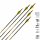 Freccia completa | GOLD TIP Hunter Pro Black - Carbonio