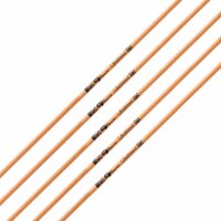 Asta | GOLD TIP Traditional - Carbonio - incl. GT Cocca e...