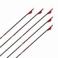 Freccia completa | GOLD TIP Velocity - Carbonio