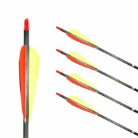 Freccia completa | GOLD TIP Ultralight Pro - Carbonio