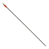 Freccia completa | EASTON Inspiré - Carbonio