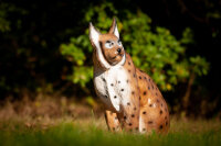 CENTER-POINT 3D Lynx - Prodotto in Germania