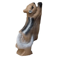 FRANZBOGEN - Chipmunk