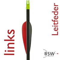 Posizione della camma | Molla di guida sinistra