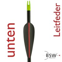 Posizione della camma | Molla di guida abbassata