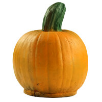 Zucca LEITOLD