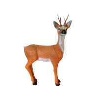 roebuck a lunga durata