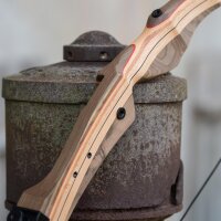 [SPECIALE] DRAKE Wild Honey - Take Down - 62-70 pollici - Arco ricurvo - 18-38 lbs