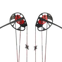 EK ARCHERY Rex - 15-65 lbs - Arco compound