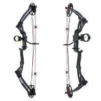 EK ARCHERY Rex - 15-65 lbs - Arco compound