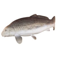 Carpa ELEVEN Target 3D