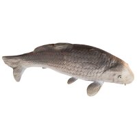 Carpa ELEVEN Target 3D