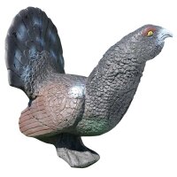 ELEVEN Target 3D gallo cedrone nero