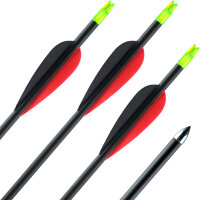 Freccia di carbonio | ExoSPHERE Prime - con vanes - dal 31 lbs