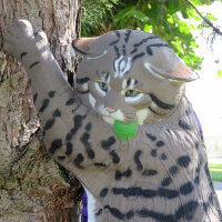 NATURFOAM wildcat - arrampicata