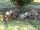 NATURFOAM Coniglietto - accovacciato