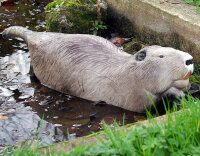 Castoro NATURFOAM - galleggiante