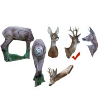 Kit NATURFOAM | testa: roebuck