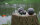 NATURFOAM NaturBall - grande - Ø18cm