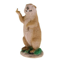 Obiettivi TC - Marmotta impertinente