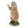 Obiettivi TC - Marmotta impertinente