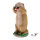 Obiettivi TC - Crazy Mike - Marmotta