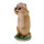 Obiettivi TC - Crazy Mike - Marmotta