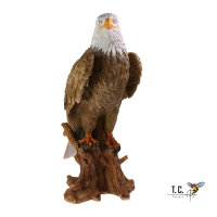Obiettivi TC - Adler Horst