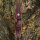 JACKALOPE - Red Beryl - 64 pollici - Arco ibrido - 25-50 lbs