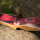 JACKALOPE - Red Beryl - 68 pollici - Arco lungo - 25-50 lbs