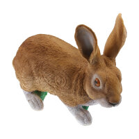 Obiettivi del TC - Rudi Hase