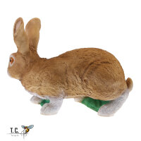 Obiettivi del TC - Rudi Hase