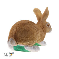 Obiettivi del TC - Rudi Hase