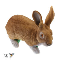 Obiettivi del TC - Rudi Hase