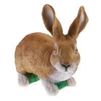 Obiettivi del TC - Rudi Hase