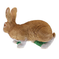 Obiettivi del TC - Rudi Hase