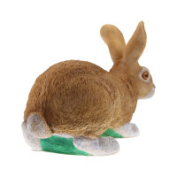Obiettivi del TC - Rudi Hase