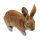 Obiettivi del TC - Rudi Hase