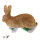 Obiettivi del TC - Rudi Hase